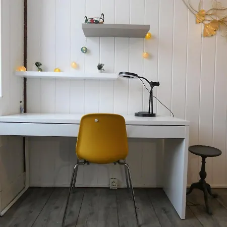 Ausommet - Ideal Pro Ou Couple - Centre De * Pau